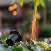 Tuin Prikspot – Philips GU10 – kantelbaar – zwart – 2700K – IP65