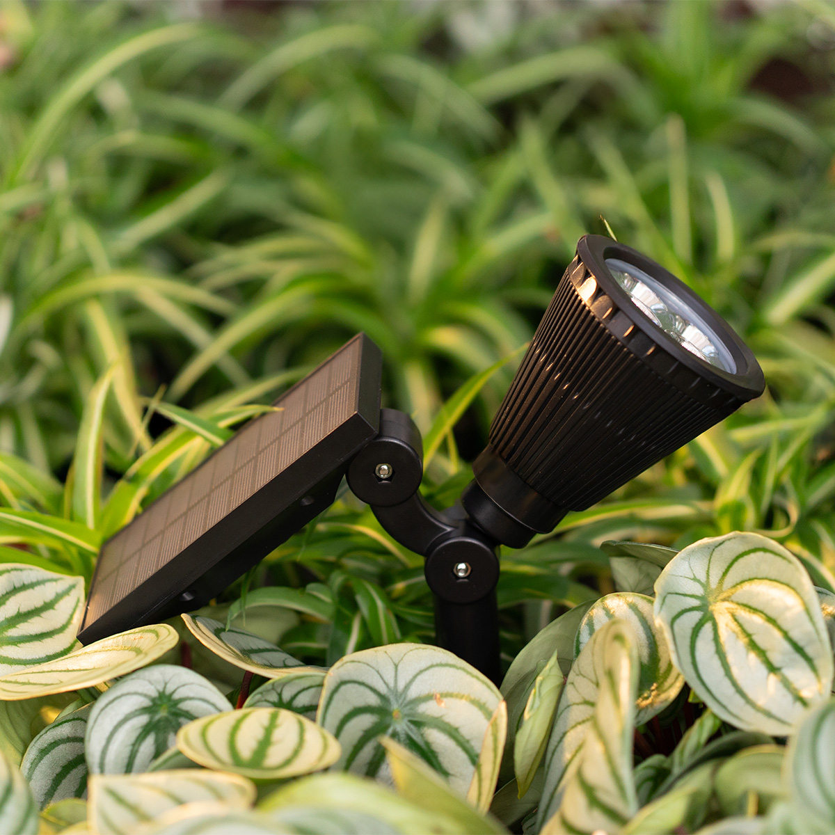 een prikspot op zonne-energie